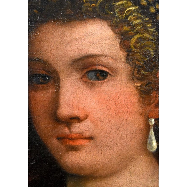 Pauwels Franck / Paolo Fiammingo, Venus Landscape, 1580, Oil on Canvas For Sale - Image 15 of 18