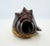 Vintage Hand-Carved Solid Wood Conch Shell Sculpture For Sale - Image 4 of 12
