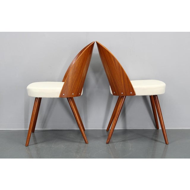 Set of Antonin Suman Chairs in Walnut Finish, 1960s For Sale - Image 11 of 17
