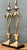 This elegant pair of vintage palm tree table lamps captures the glamour and escapist spirit of mid-20th-century design....