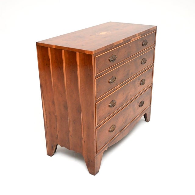 Hollywood Regency Vintage Regency Style Inlaid Yew Wood Chest of Drawers, 1960 For Sale - Image 3 of 11