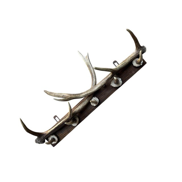 1940s German Antler Hanging Rack Hats Clothes For Sale - Image 4 of 6