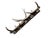 1940s German Antler Hanging Rack Hats Clothes For Sale - Image 4 of 6