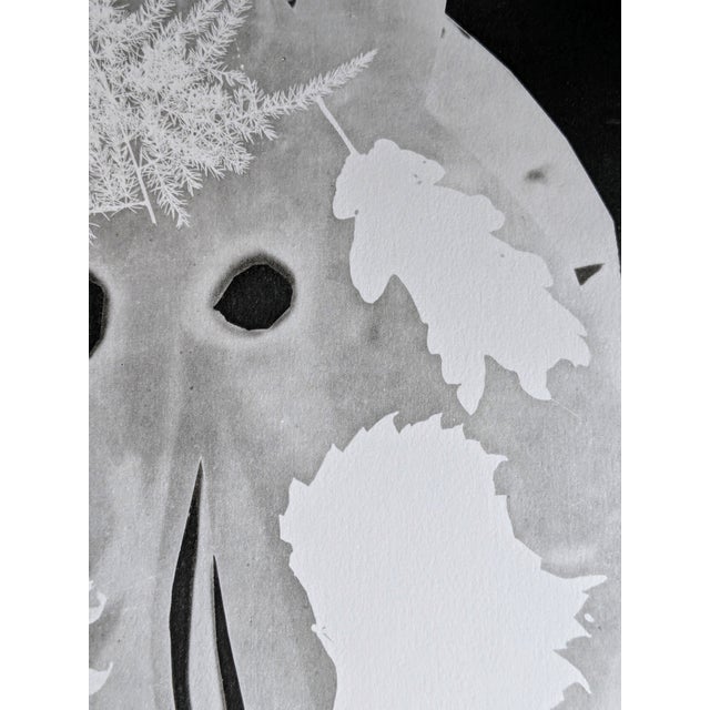 1960s Pablo Picasso, Diurnes, Original Photoengraving, 1962 For Sale - Image 5 of 7