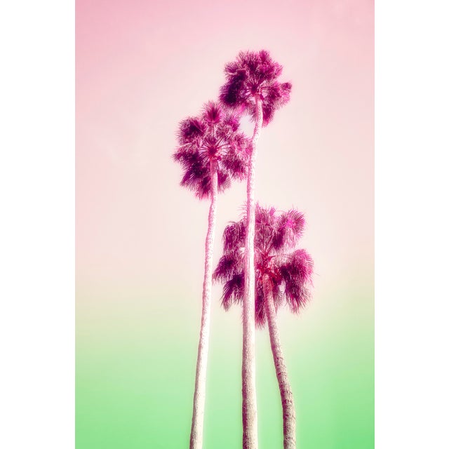 Poolside Popsicles, Limited Edition, Fine Art Photography By: Kristin Hart For Sale