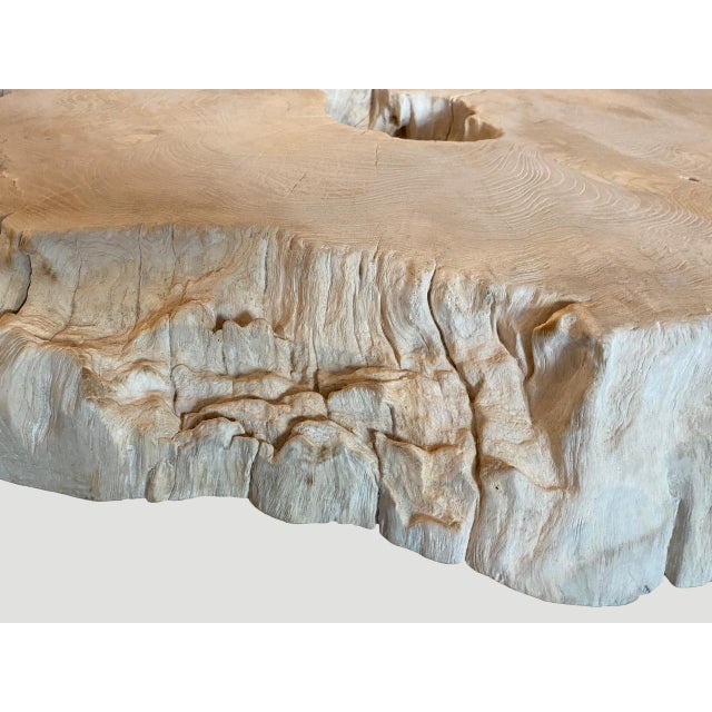 Andrianna Shamaris Amorphous Mid Century Style Bleached Teak Wood Coffee Table For Sale - Image 12 of 18