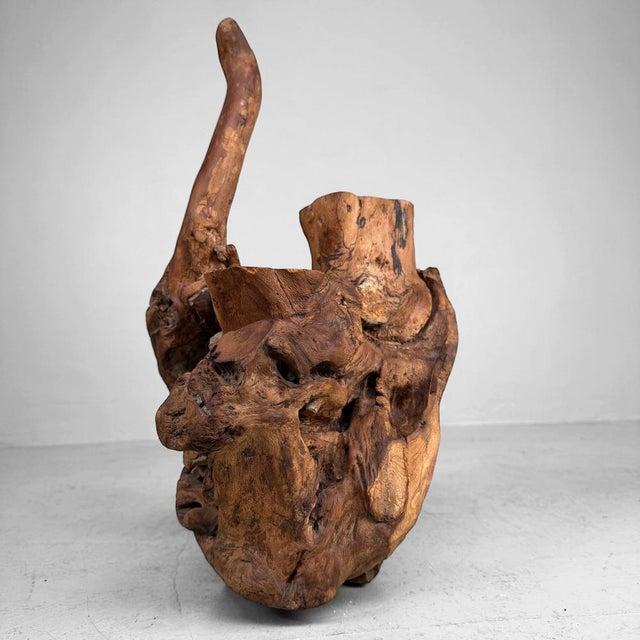 Japanese Koboku Root Wood Sculpture, 1960s For Sale - Image 12 of 16