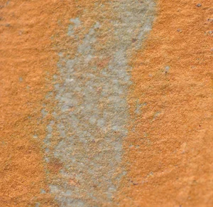 Gaétan Caron "Texture 2: Ochre" Coastal Maine Photograph, 2013