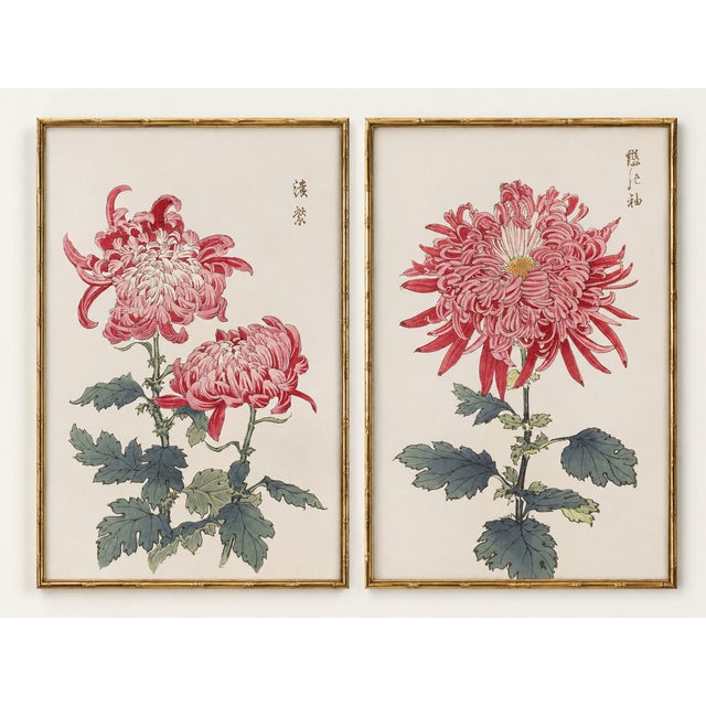 Pink Chrysanthemum Diptych, Vintage Japanese Botanical Art Print (Set of 2), 24" X 36" For Sale - Image 4 of 8