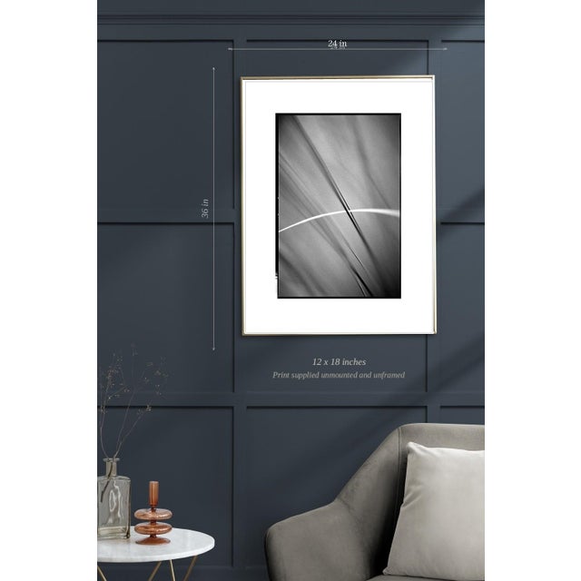 Not Yet Made - Made To Order Paul Cooklin, Grass #III, Edition of 50 For Sale - Image 5 of 7