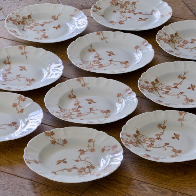 Vintage Limoges Porcelain Plates from Haviland, 1930s, Set of 10 For Sale - Image 4 of 7