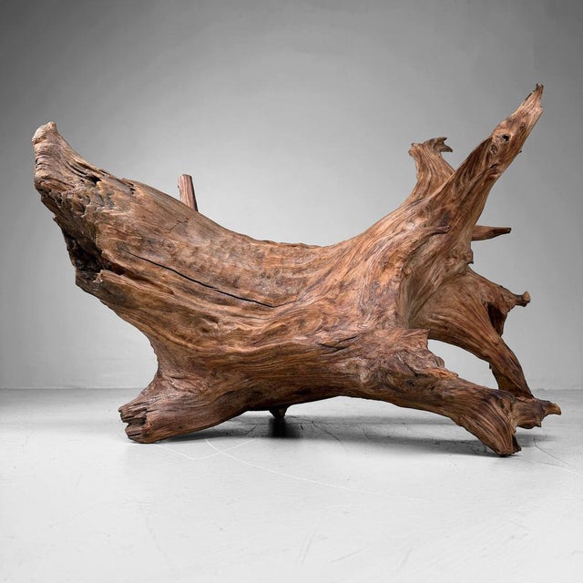 Japanese Koboku Root Wood Sculpture, 1960s For Sale - Image 13 of 13