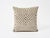 Schumacher Double-Sided Pillow in Vanderbilt Velvet Print For Sale In Charlotte - Image 6 of 7