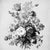 Illustration Antique Botanical Study No. 3 - Natural History Fine Art Print For Sale - Image 3 of 3