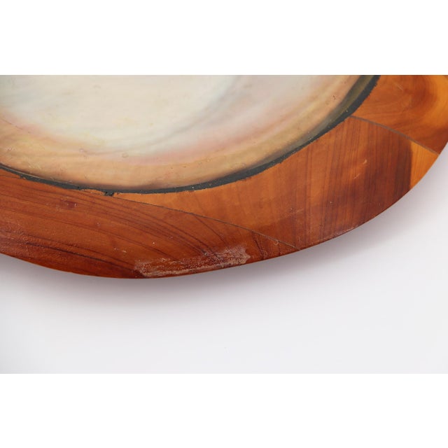 Shell and Teak Root Wood Card Receiver or Trinket Tray in the Style of Alexandre Noll, France, 1950s For Sale - Image 9 of 13
