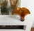 Murano Missoni Style Art Glass Orange Fazoletto Filligrana Vase For Sale - Image 10 of 12