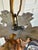 Italian Vintage Four Arm Gold Gilt Italian Chandelier For Sale - Image 3 of 9