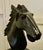 Large Carved Wooden Horse Head, 1950 For Sale - Image 6 of 8