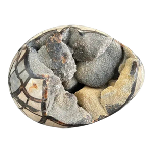 Septarian "Egg" Geode From the Cretaceous Period