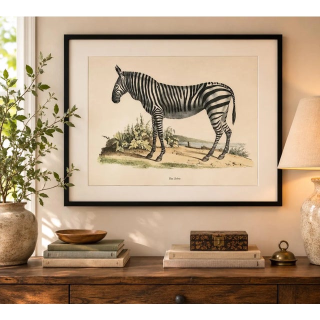 Printmaking Materials Vintage Karl Joseph Brodtmann Das Zebra Art Print | Framed Zebra Wall Art | German Natural History Lithograph Style | Safari Decor For Sale - Image 7 of 7