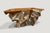Andrianna Shamaris Two-Toned Organic Teak Wood Console For Sale - Image 4 of 6
