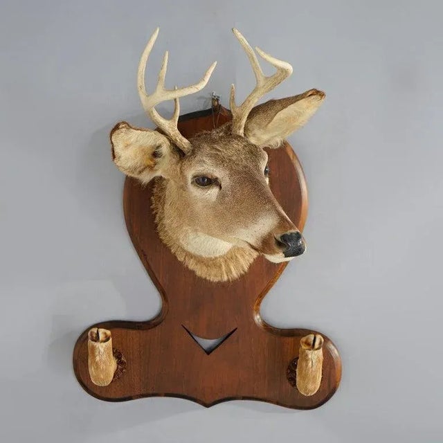 An antique hat rack offers deer mount on wood backboard, c1930 Measures- 29.25''H x 22''W x 19''D.