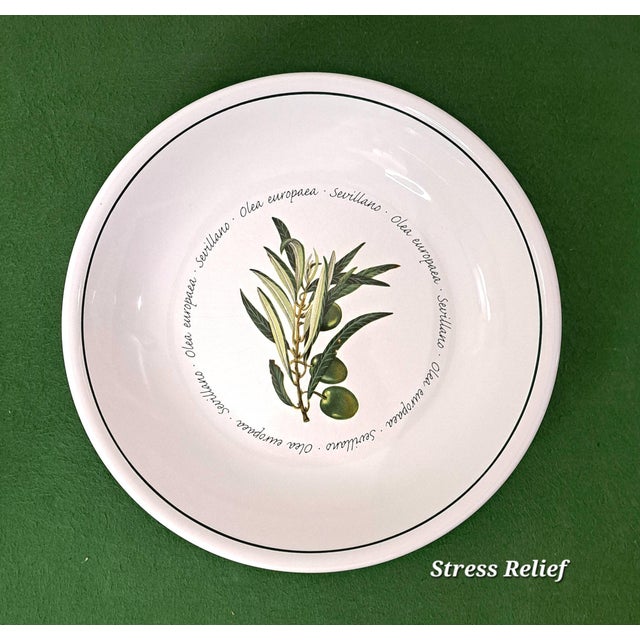 Mediterranean Williams Sonoma Olea Europaea Botanical Olive Serving Bowl Set - 5 Pieces For Sale - Image 9 of 14