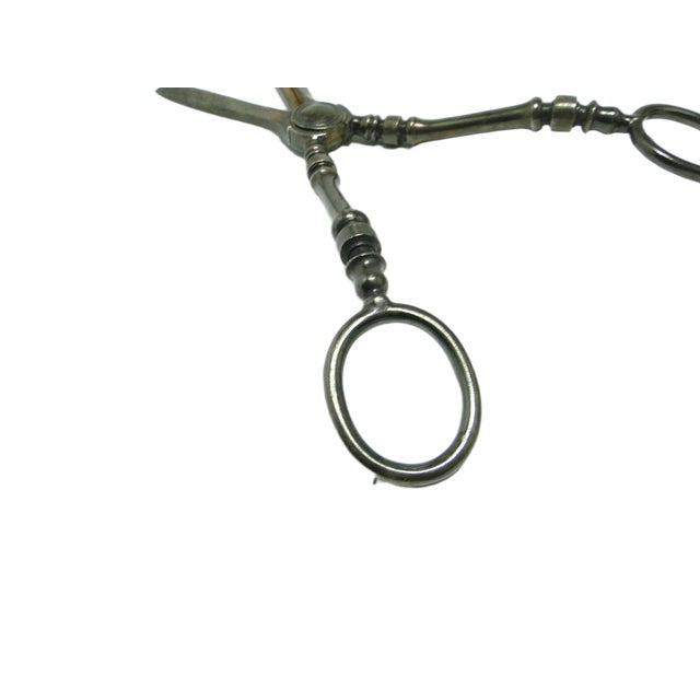 Silver Art Nouveau Danish Scissors for Grapes, 1920s For Sale - Image 8 of 15