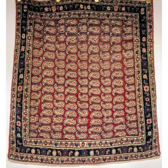 An extremely fine weaved Malayer rug in a near square shape. The rug comes with allover paisley design placed in a red...