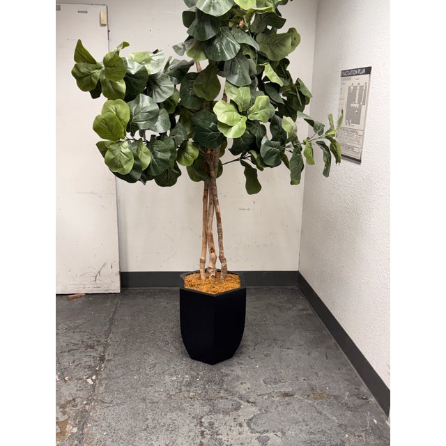 Faux Fiddle Leaf Fig Tree + Tapered Black Planter For Sale - Image 4 of 12