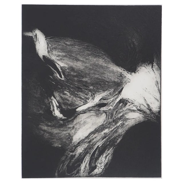 Stanislav Marijanovic, The Awakening of Consciousness, 1980s, Original Etching For Sale