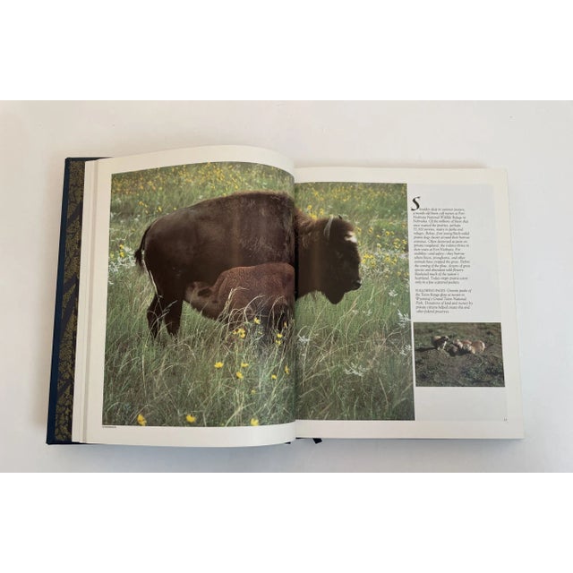 Paper Our Threatened Inheritance: Natural Treasures of the United States Book R Fisher For Sale - Image 7 of 10