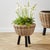 Coastal Woven Rattan Dry Basket Plant Riser 17" For Sale - Image 3 of 5