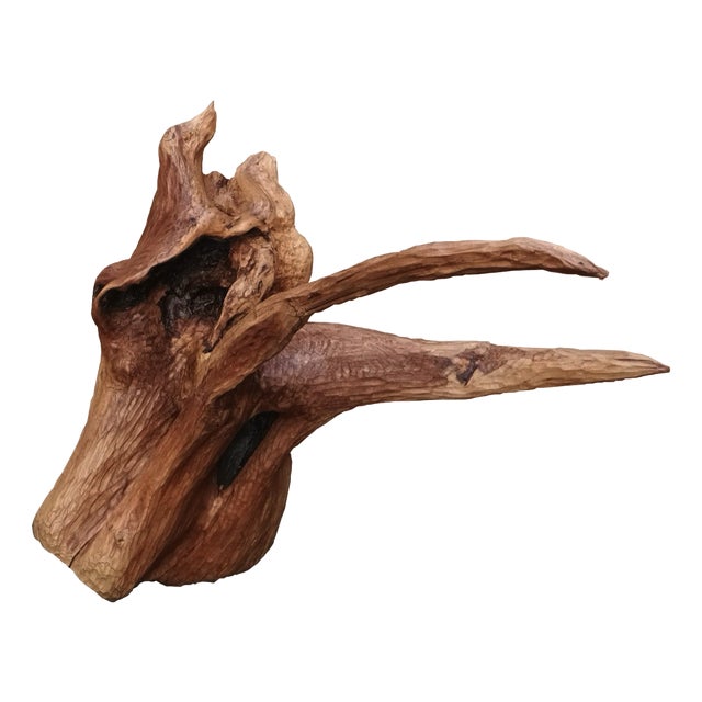 Sculpture del Mare by Pietro Meccani, 2024 For Sale