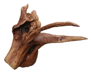 Sculpture del Mare by Pietro Meccani, 2024