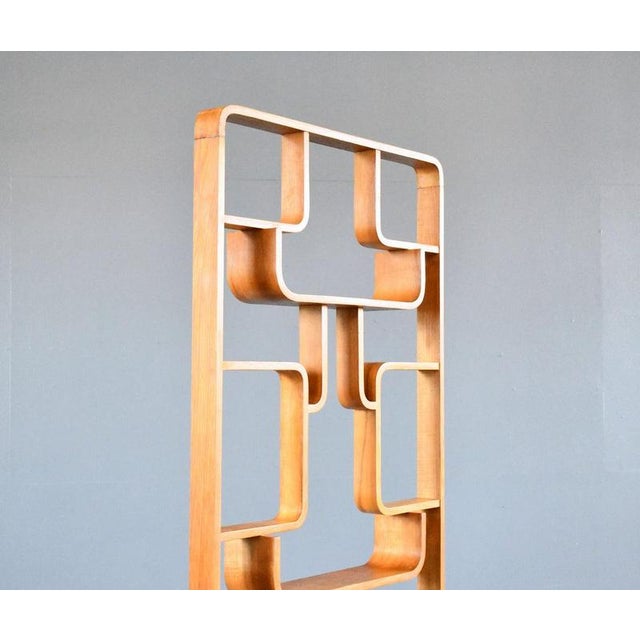Mid-Century Room Divider by Ludvik Volak, 1960s For Sale - Image 3 of 4