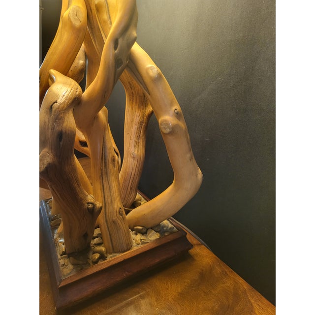 Mid 20th Century Massive Mid-Century Driftwood Lamp, Organic Modern, 1950s–60s For Sale - Image 5 of 9