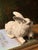 French Vintage French Ceramic Rabbits Figurine For Sale - Image 3 of 4