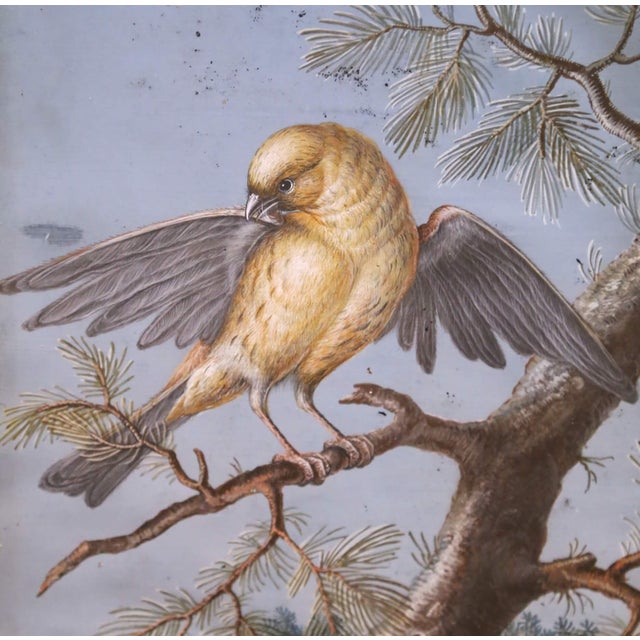 19th Century French Fixé Sous Verre Bird Painting in Carved Giltwood Frame For Sale - Image 4 of 8