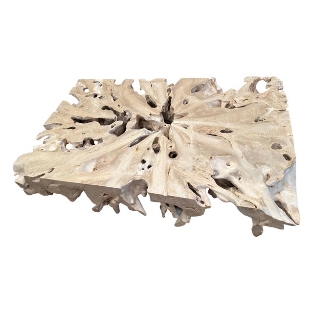 Bleached teak root coffee table or if turned on the side a console or room divider at 55.5” wide x 14” deep x 36” high....