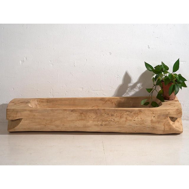 Wood Garden Wooden Bowl, 1900s For Sale - Image 7 of 14