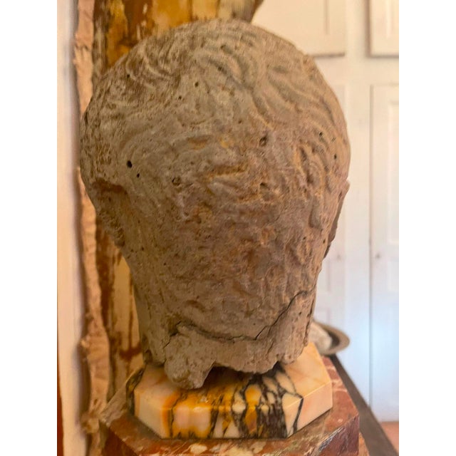 Stone Antique Carved Stone Head of a Roman Youth, Grand Tour Style Sculptural Fragment on Marble Plinth, 19th Century For Sale - Image 7 of 10