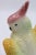 Mid 20th Century Colorful Ceramic Parrot Figurines - a Pair For Sale In Tulsa - Image 6 of 9