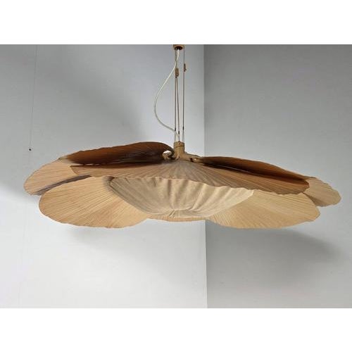 Uchiwa Hana Pendant Lamp by Ingo Maurer for Design M For Sale - Image 9 of 9