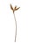 Ten piece Mid century modern carved teak decorative botanical flower arrangement. Set includes one Bird of Paradise...