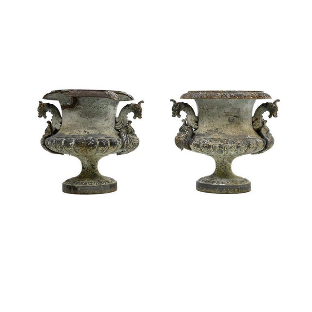 XVIII Century Medicis Vases, Set of 2 For Sale - Image 5 of 5