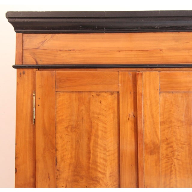 19th Century German Cherrywood Wardrobe For Sale - Image 9 of 18