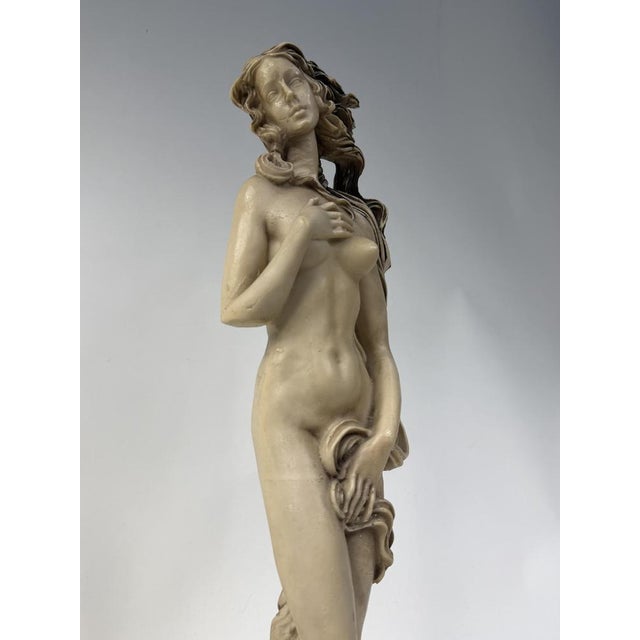 Botticelli's Birth of Venus Statue, 1960s For Sale - Image 6 of 12