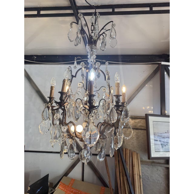 Louis XV Crystal 12-Light Cage Chandelier from Maison Baguès For Sale - Image 8 of 14