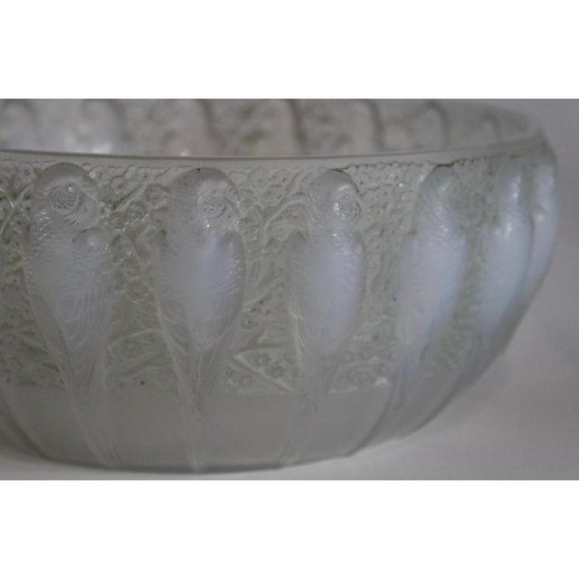 Opalescent Parakeets Bowl by René Lalique, 1931 For Sale - Image 3 of 4